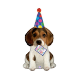 Folienballon Welpe mit Partyhut Happy Birthday -hey-Party.de- Folienballons -#Variante_