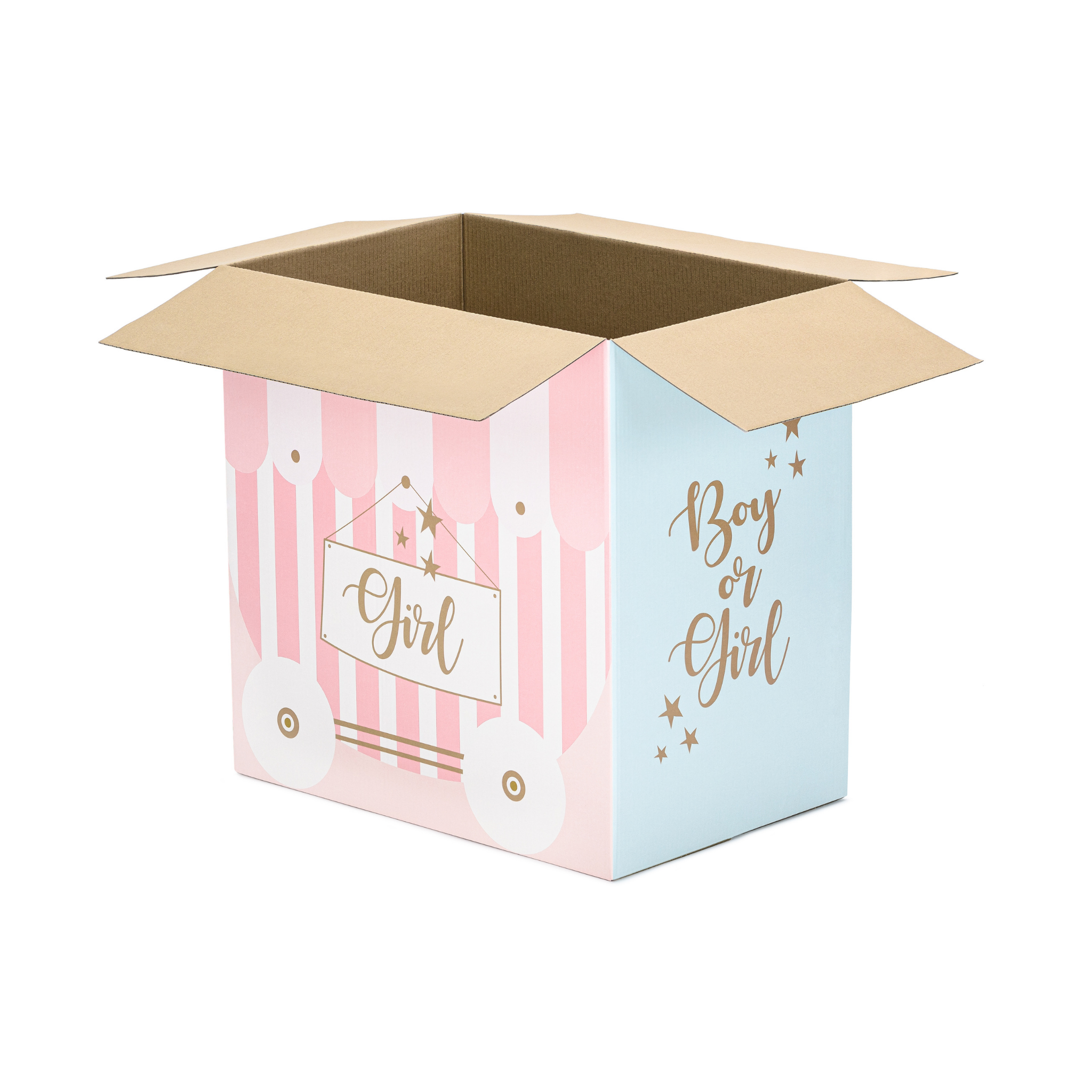 Karton XXL Gender Reveal (nur Abholung!) -hey-Party.de- Schachteln -#Variante_