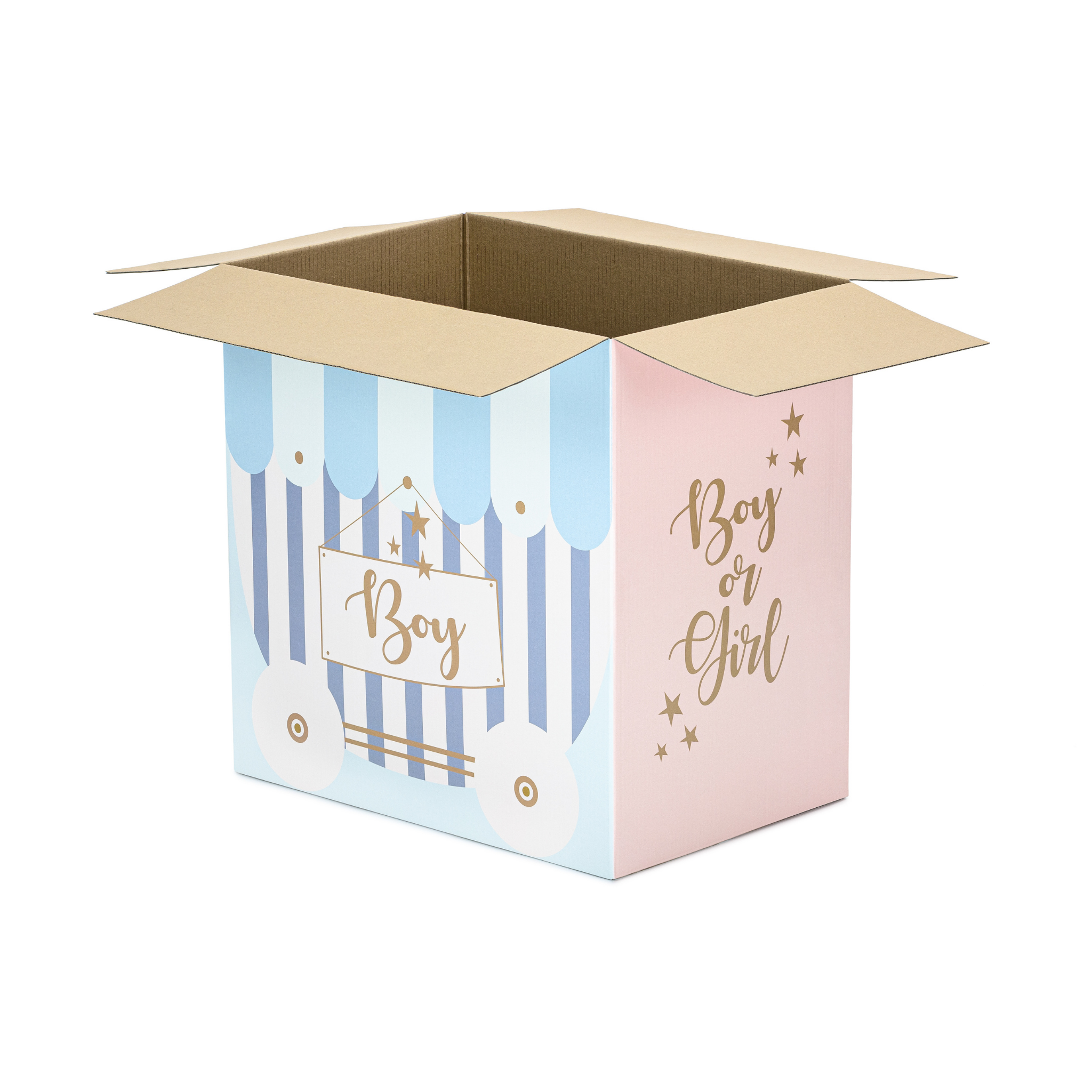Karton XXL Gender Reveal (nur Abholung!) -hey-Party.de- Schachteln -#Variante_