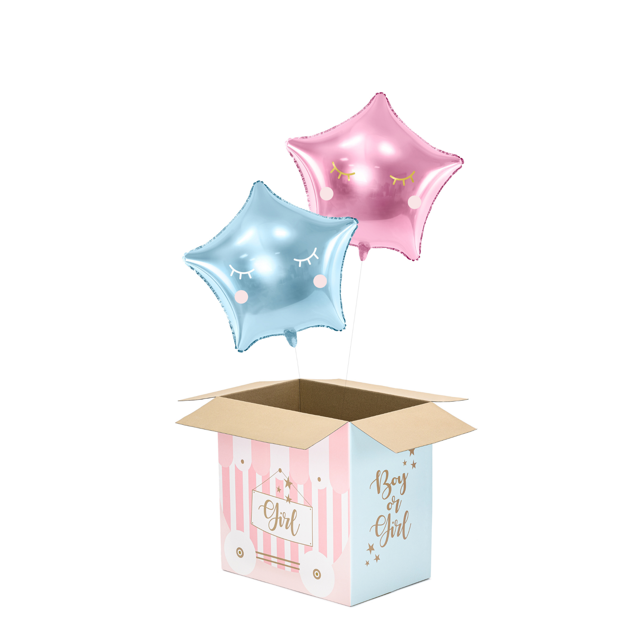 Karton XXL Gender Reveal (nur Abholung!) -hey-Party.de- Schachteln -#Variante_