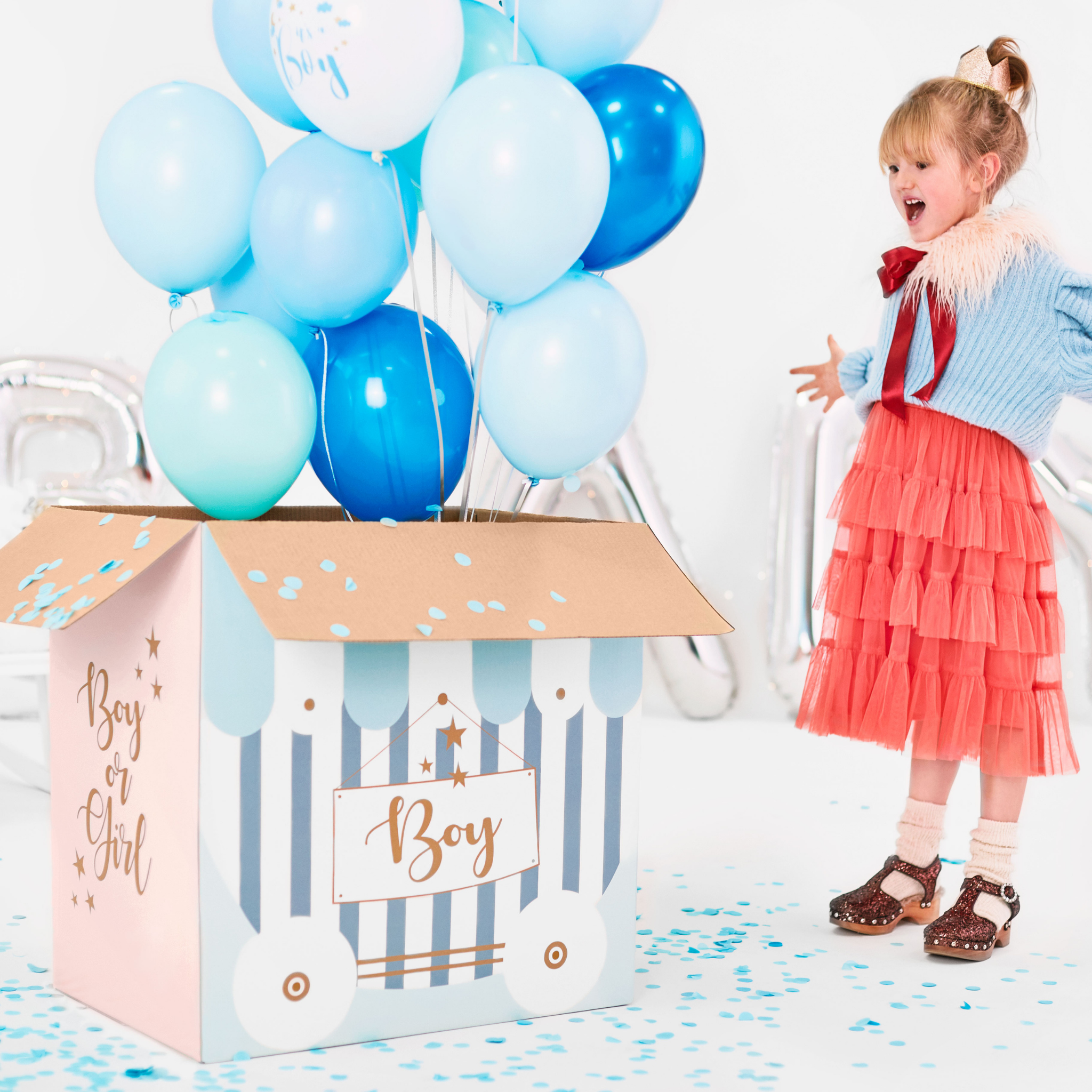 Karton XXL Gender Reveal (nur Abholung!) -hey-Party.de- Schachteln -#Variante_