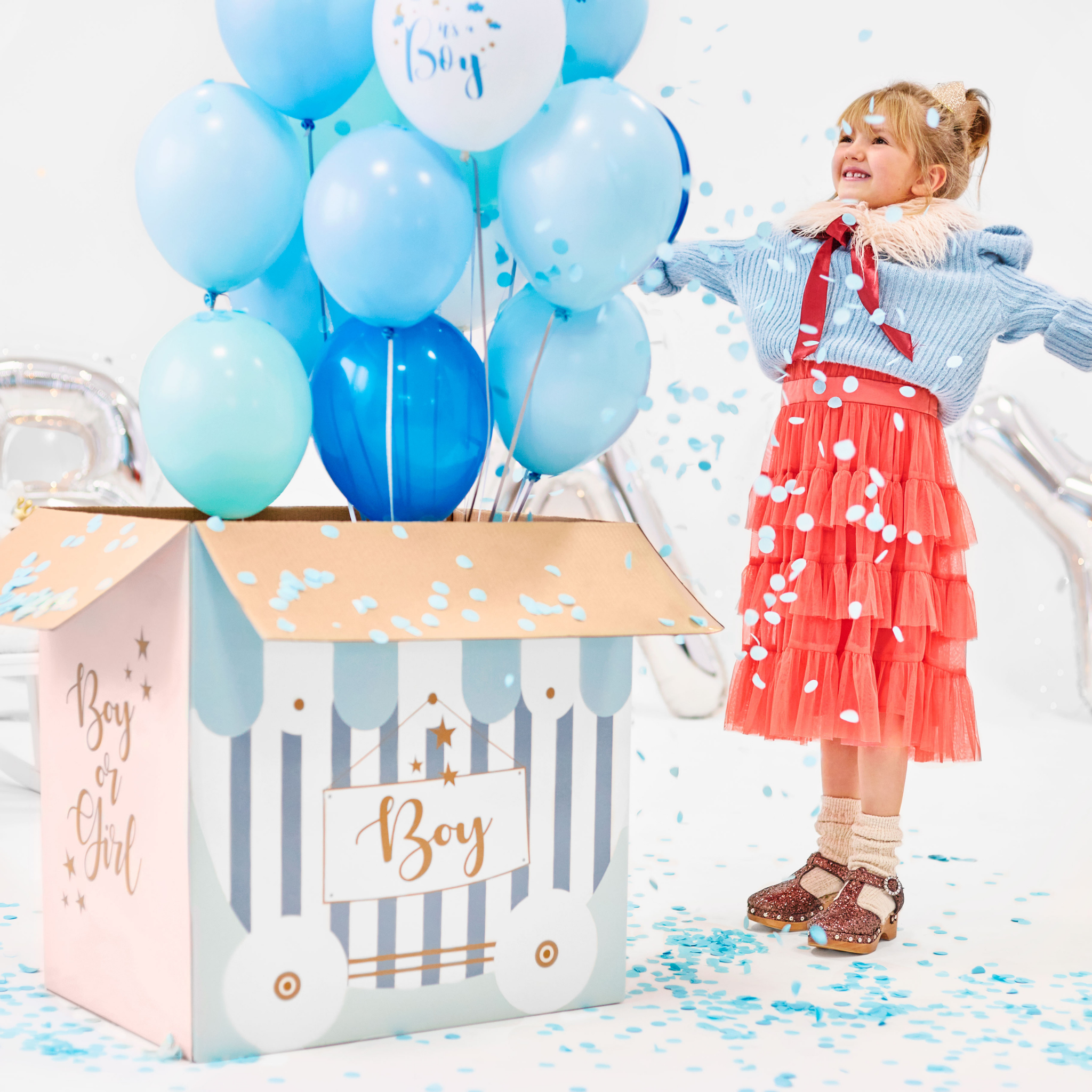 Karton XXL Gender Reveal (nur Abholung!) -hey-Party.de- Schachteln -#Variante_