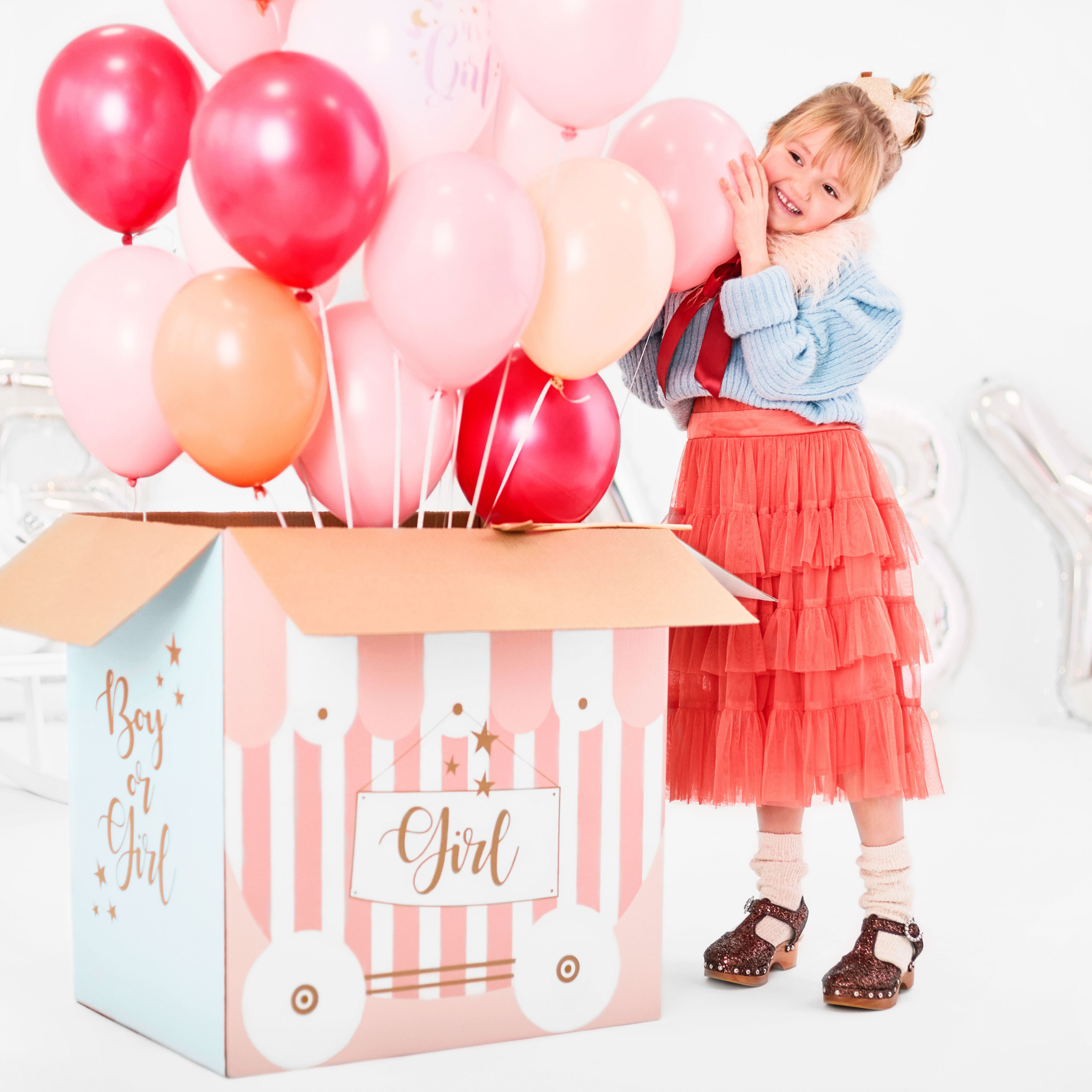 Karton XXL Gender Reveal (nur Abholung!) -hey-Party.de- Schachteln -#Variante_
