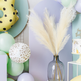 Künstliches Pampasgras Klein -hey-Party.de- Kunstblumen -#Variante_