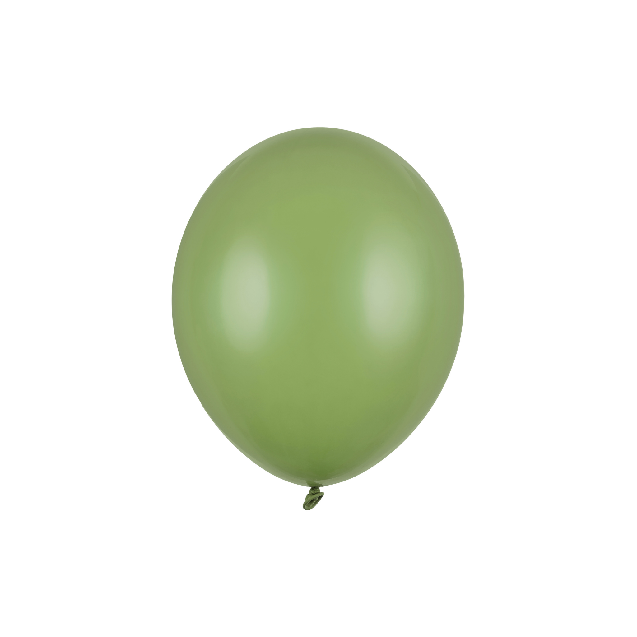 Luftballons Eukalyptus -hey-Party.de- Latexballons -#Variante_