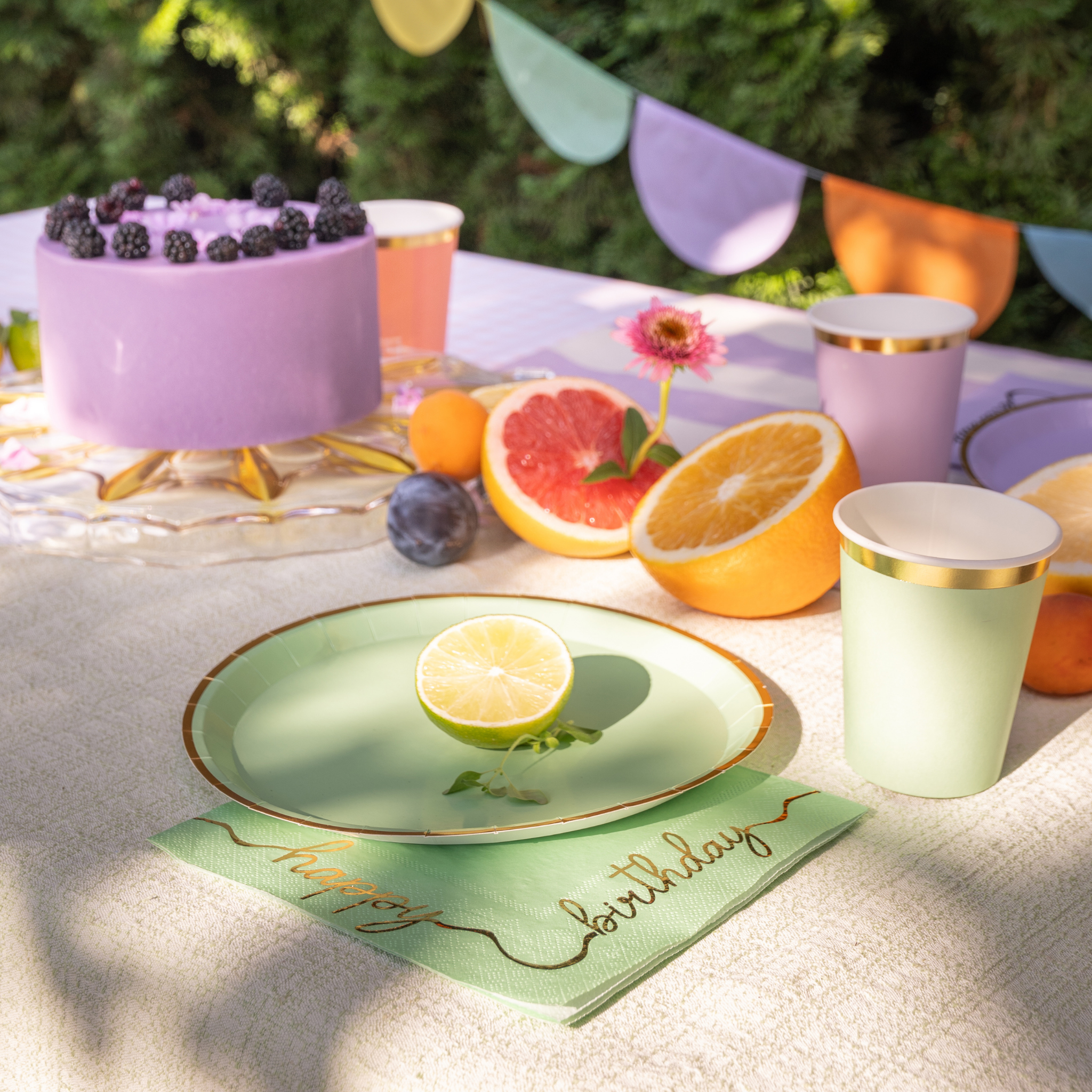 Pappteller Bunt Gemischt mit Goldrand -hey-Party.de- Pappteller -#Variante_