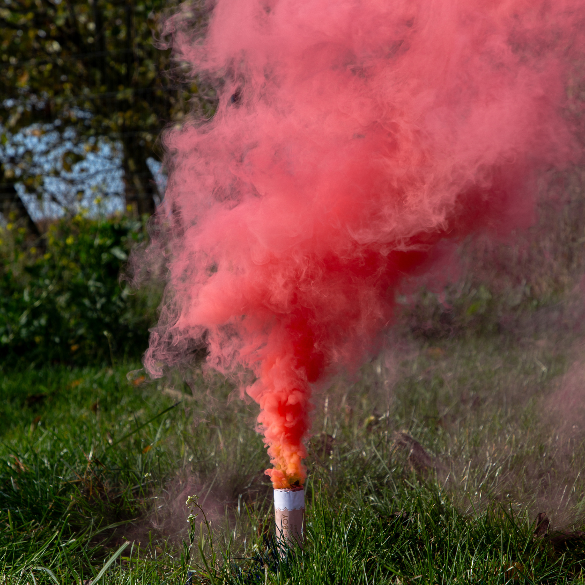 Rauchbombe "It's a girl" Rosa 5er-Set -hey-Party.de- Konfettikanonen -#Variante_