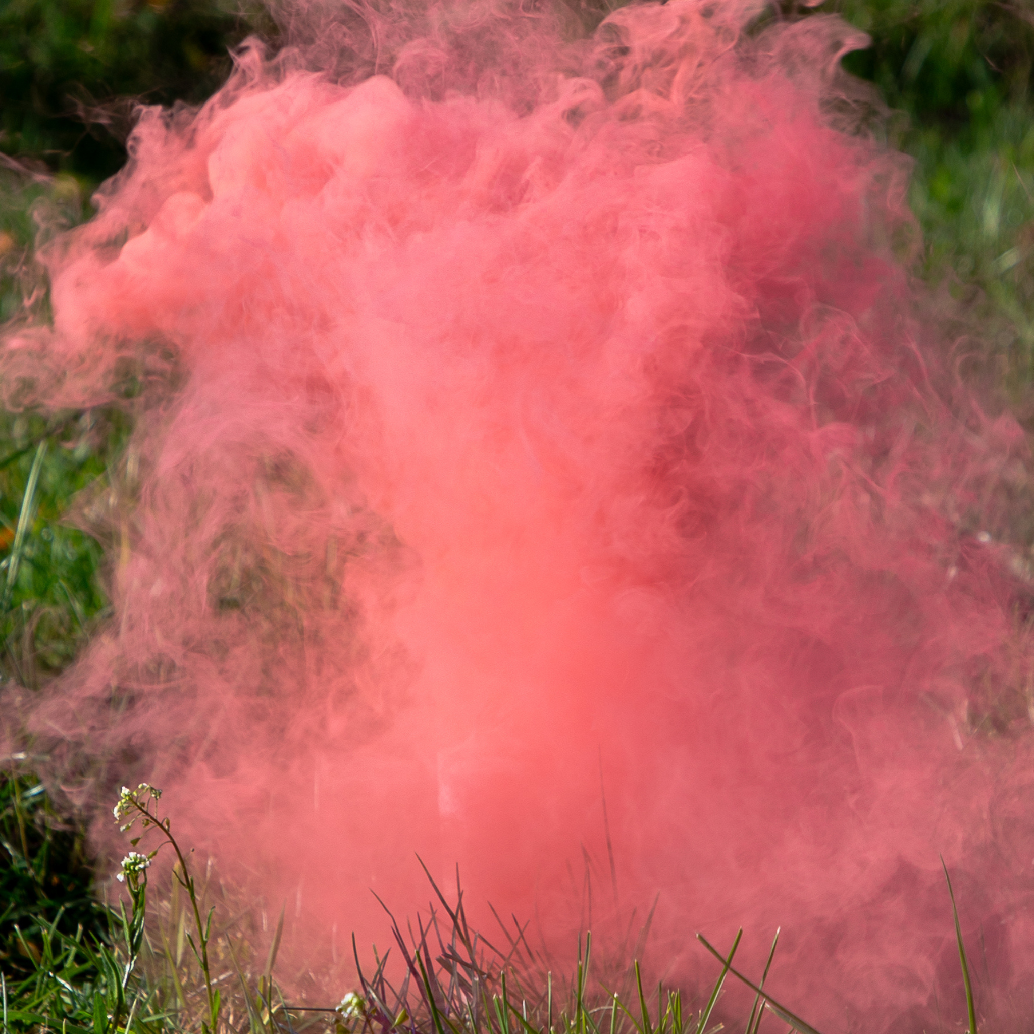 Rauchbombe "It's a girl" Rosa 5er-Set -hey-Party.de- Konfettikanonen -#Variante_