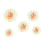 Seidenpapier Blumen Creme -hey-Party.de- Pompons -#Variante_