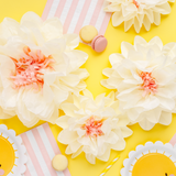 Seidenpapier Blumen Creme -hey-Party.de- Pompons -#Variante_