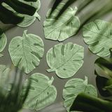 Servietten Monstera Blatt -hey-Party.de- Servietten -#Variante_
